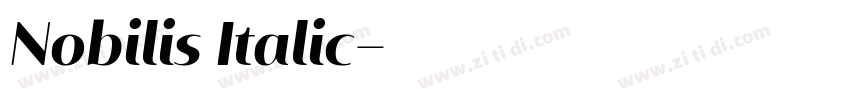 Nobilis Italic字体转换